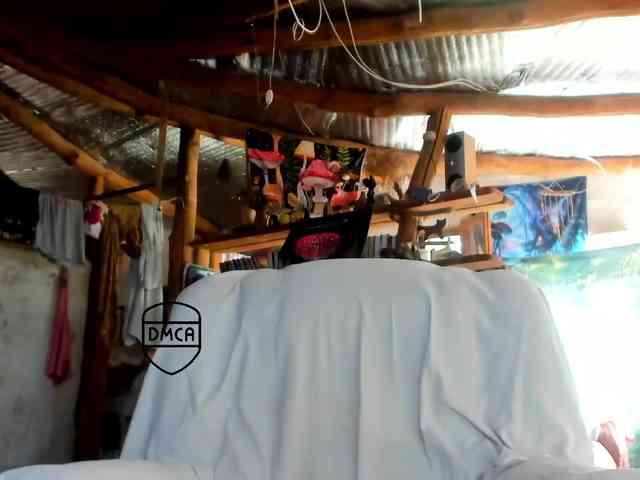 StreKoza webcam