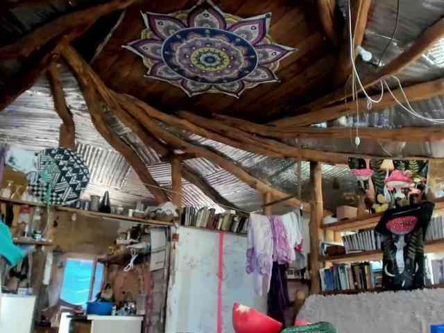 StreKoza webcam
