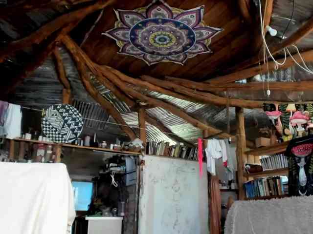 StreKoza webcam