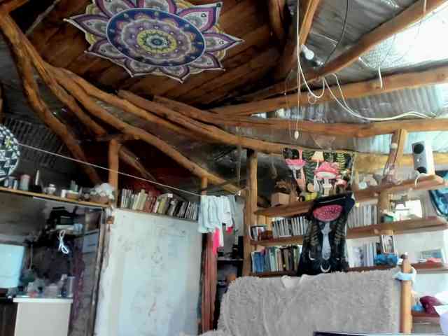 StreKoza webcam