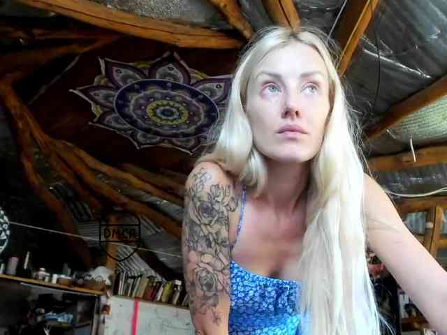 StreKoza webcam