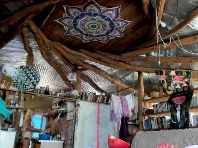 StreKoza webcam