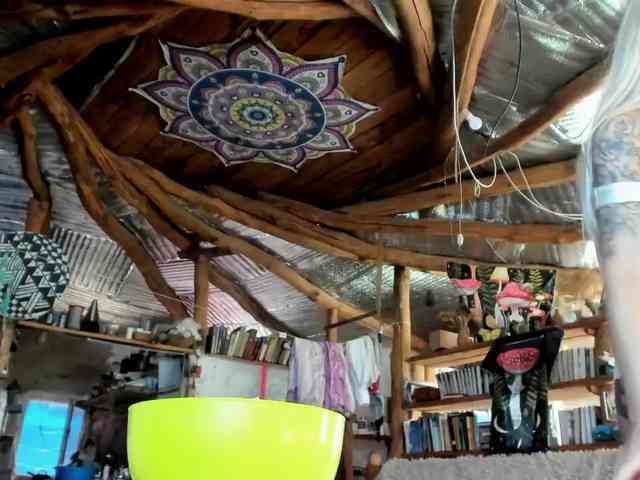 StreKoza webcam