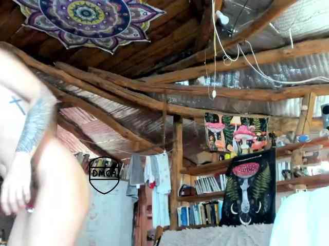 StreKoza webcam