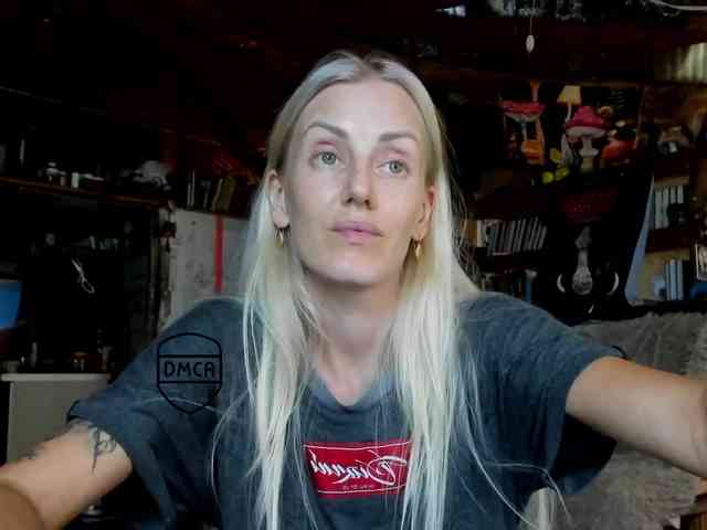 StreKoza webcam