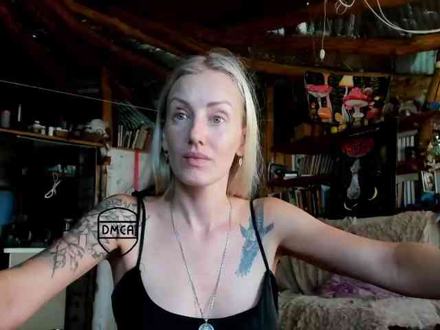 StreKoza webcam
