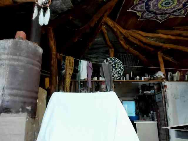 StreKoza webcam