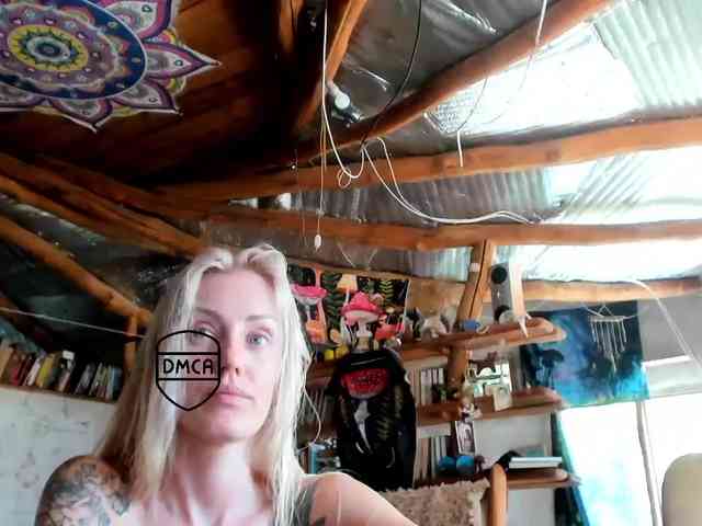 StreKoza webcam