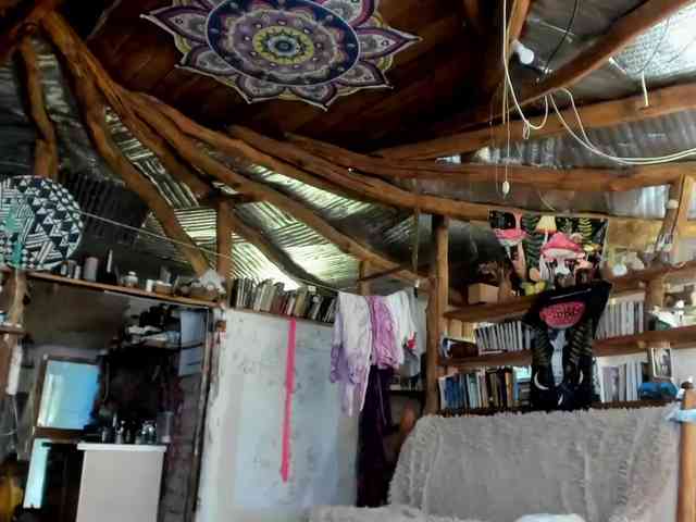 StreKoza webcam