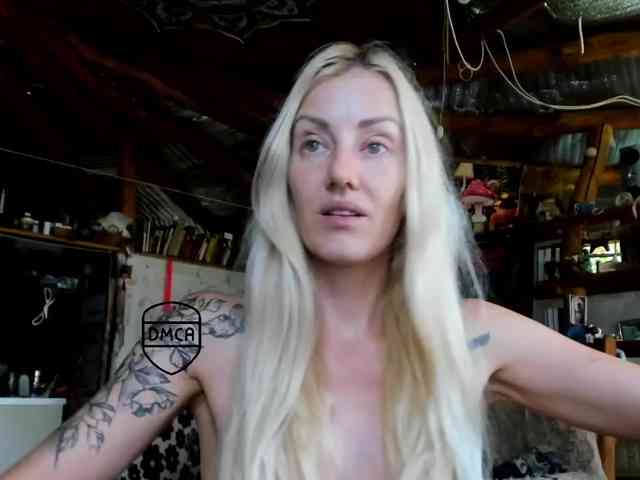 StreKoza webcam