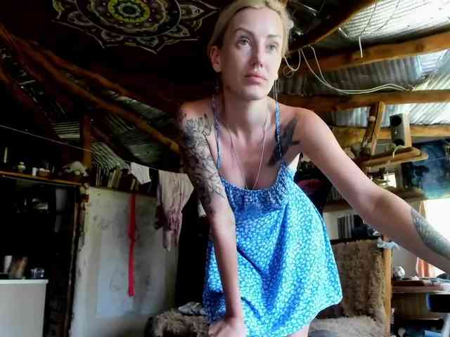 StreKoza webcam