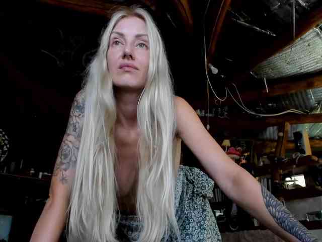 StreKoza webcam