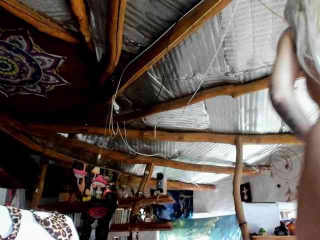 StreKoza webcam