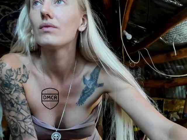 StreKoza webcam