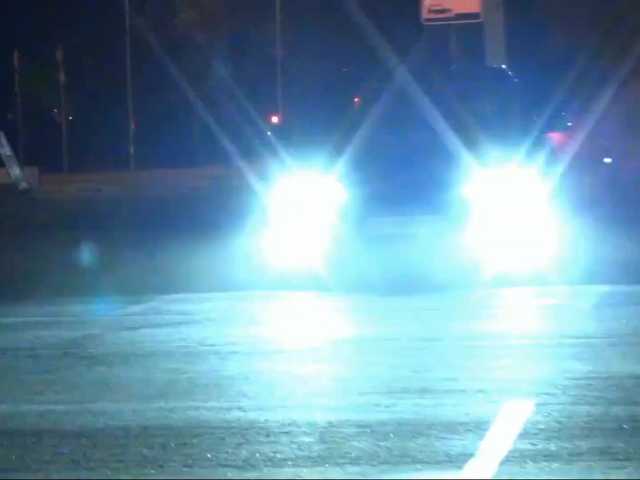 DiaFoxi live cam