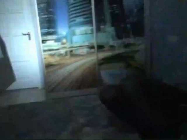 DiaFoxi