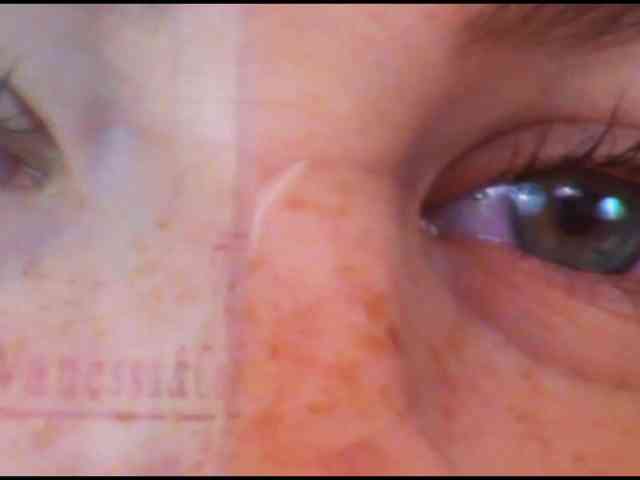 DiaFoxi webcam