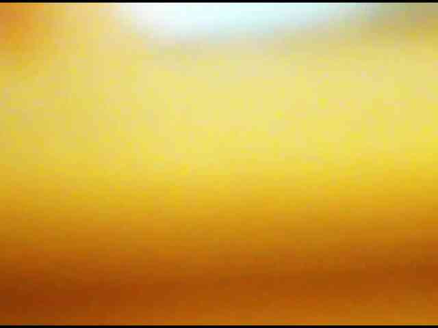DiaFoxi webcam