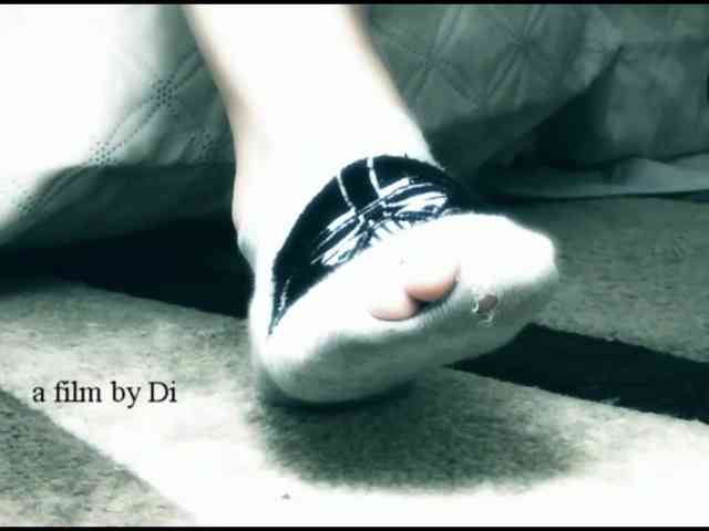 DiaFoxi webcam