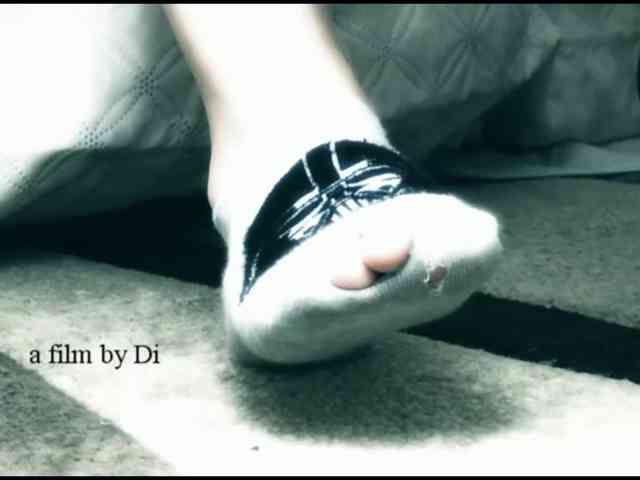 DiaFoxi webcam