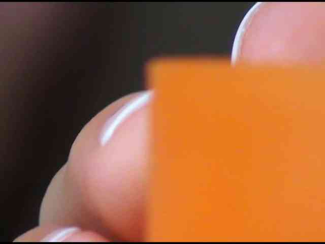 DiaFoxi webcam