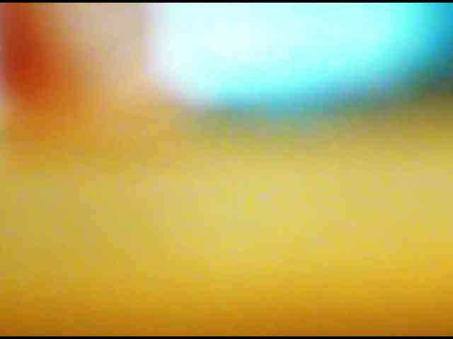DiaFoxi webcam