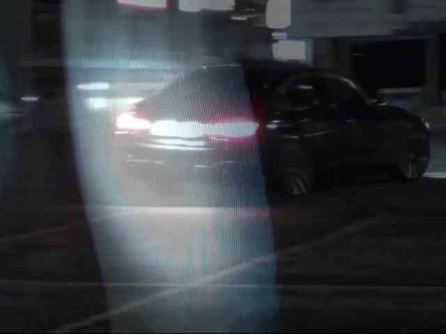 DiaFoxi webcam