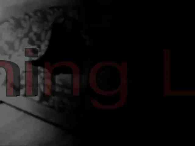 DiaFoxi webcam