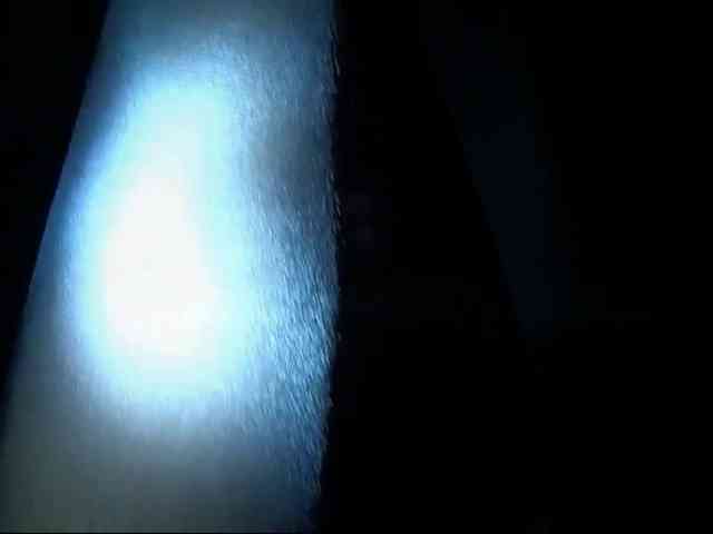 DiaFoxi webcam