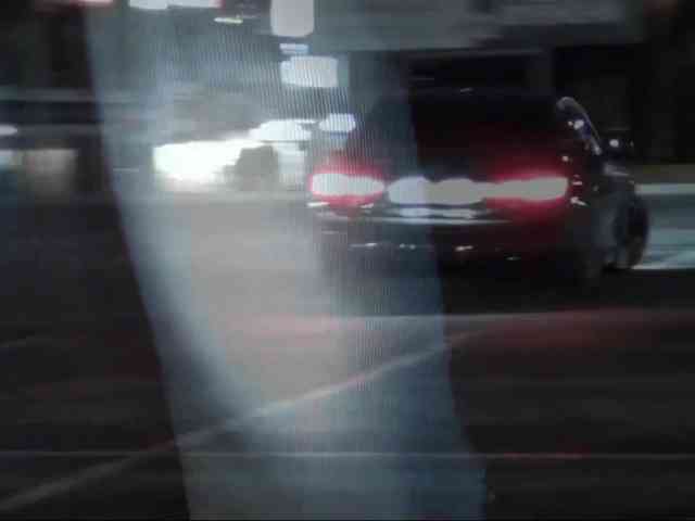 DiaFoxi webcam