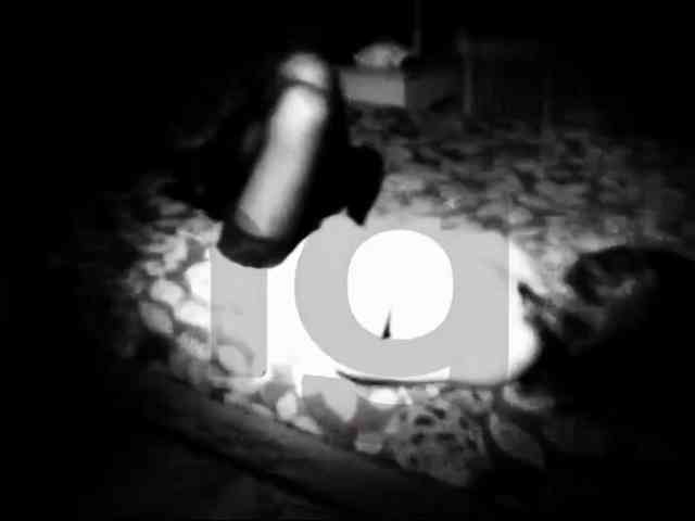 DiaFoxi webcam