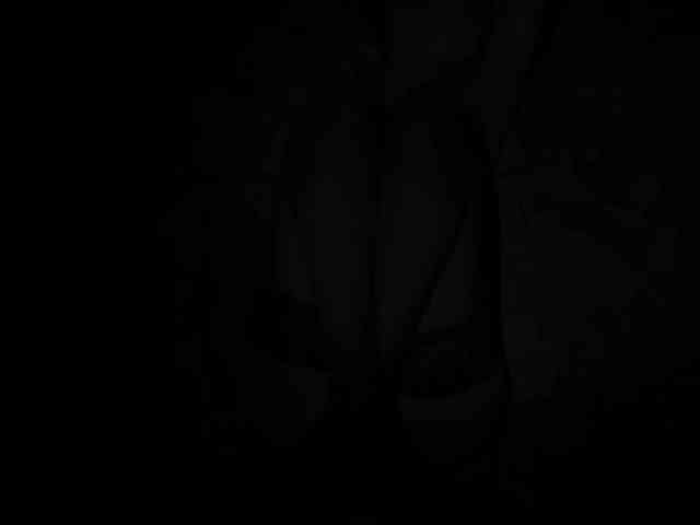 DiaFoxi webcam