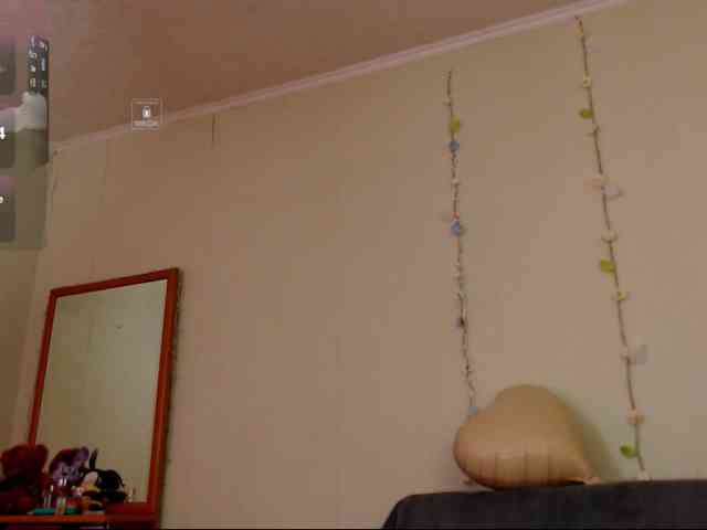 DiaFoxi webcam