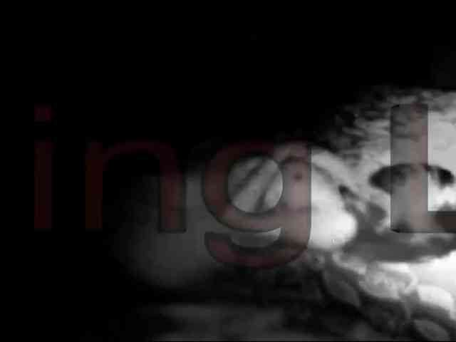 DiaFoxi webcam