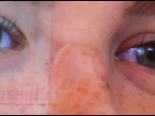 DiaFoxi webcam