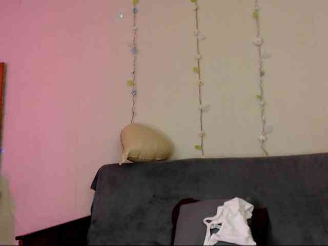 DiaFoxi webcam