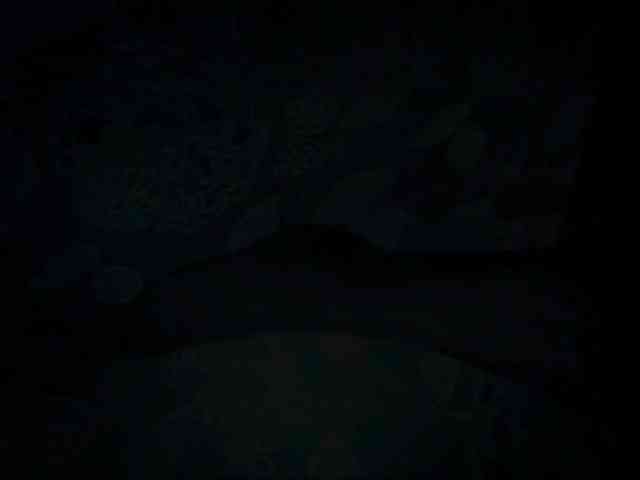 DiaFoxi webcam