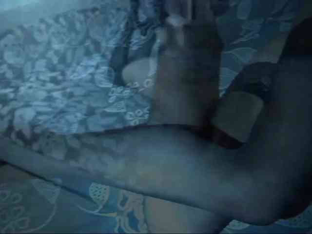 DiaFoxi webcam
