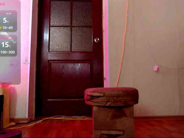 DiaFoxi webcam