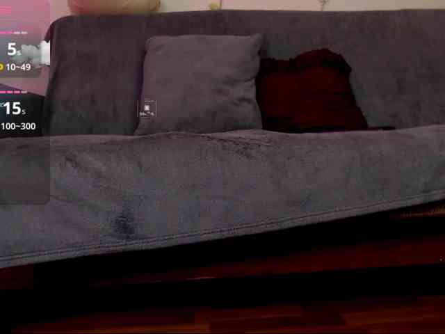 DiaFoxi webcam