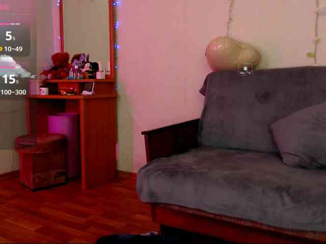 DiaFoxi webcam