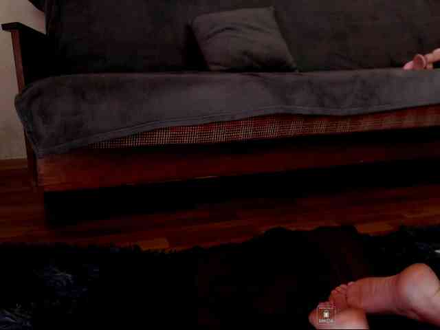 DiaFoxi webcam