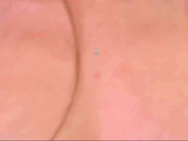 DiaFoxi webcam