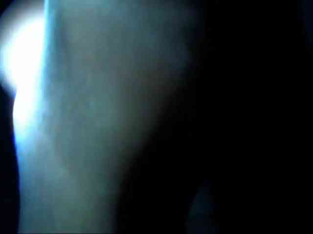 DiaFoxi webcam