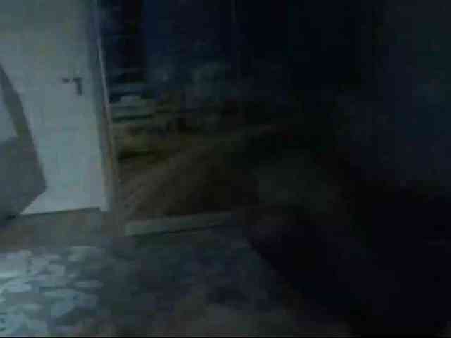 DiaFoxi webcam