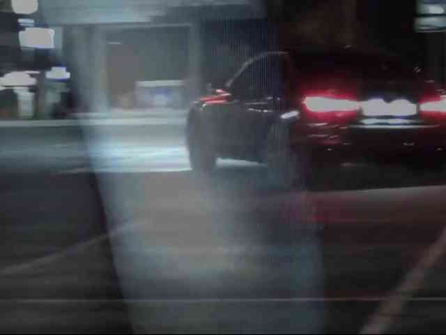 DiaFoxi webcam
