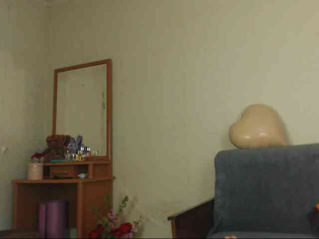 DiaFoxi webcam