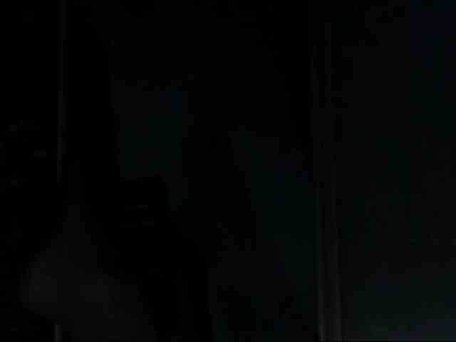 DiaFoxi webcam