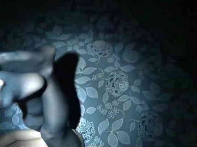 DiaFoxi webcam
