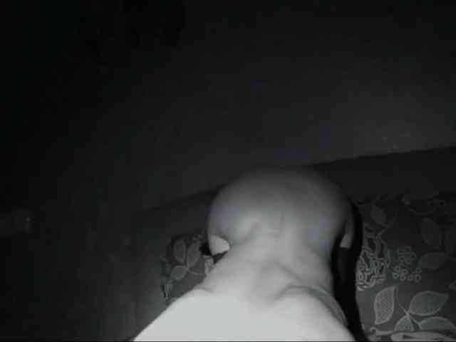 DiaFoxi DiaFoxi